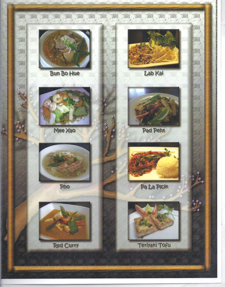 Manola's Thai & Vietnamese Cuisine Restaurant Menu San Antonio